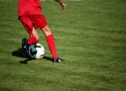 开云官网体育-塔斯马尼亚联新援首秀引期待，世俱杯表现备受关注