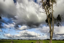 骄人表现！女子羽毛球选手晋级四强