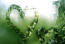 北京人和主场大要大邯郸客队，火力全开轻松获胜