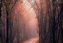 开云体育官网入口网页版-沙特球队突围成功，争夺亚冠金杯