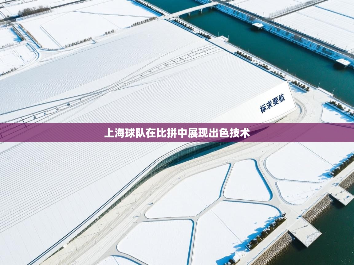 上海球队在比拼中展现出色技术  第1张